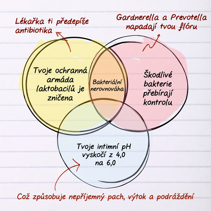 Diagram bakteriální dysbiózy